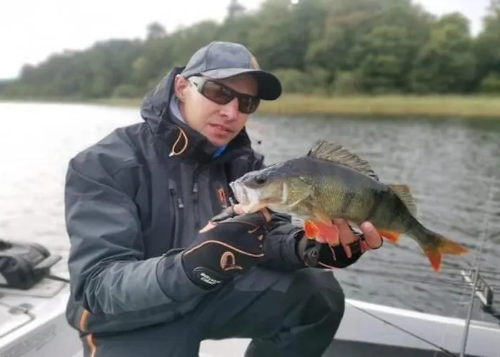 With Fireplace, View *